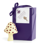 Enchanted-Mushroom-Chocolate