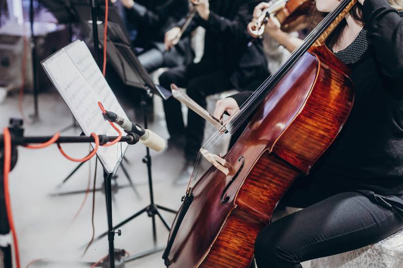 Wedding Musicians