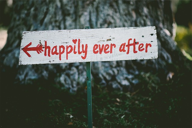Happily Ever After Wedding Sign - Writing Your Own Marriage Vows